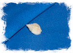 Раковина Nassarius conoidalis labordei