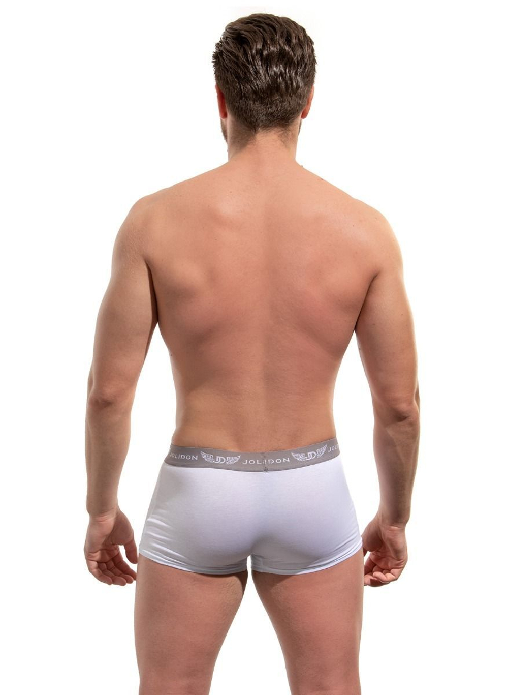 Мужские трусы-боксеры с брендом и крылышками на резинке (Размер: XXL) (Цвет: черный)