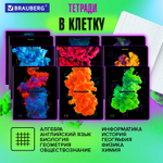 Тетради предметные комплект 12 ПРЕДМЕТОВ 48 л. глянцевый УФ-лак BRAUBERG "PIGMENT" (2 штуки в упаковке)