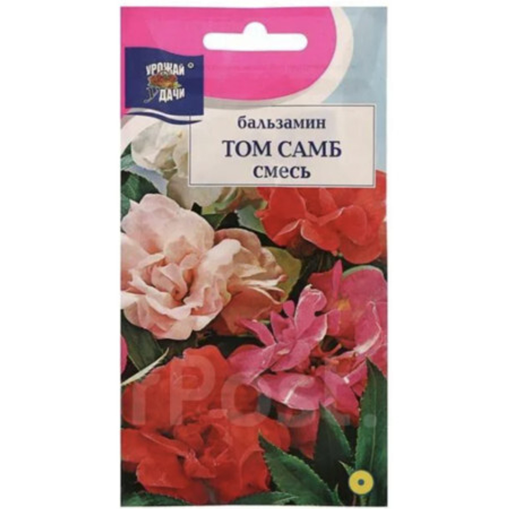 Бальзамин Том Самб смесь 0,2 гр