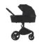 Коляска 2 в 1 ANEX Flo Lungo
