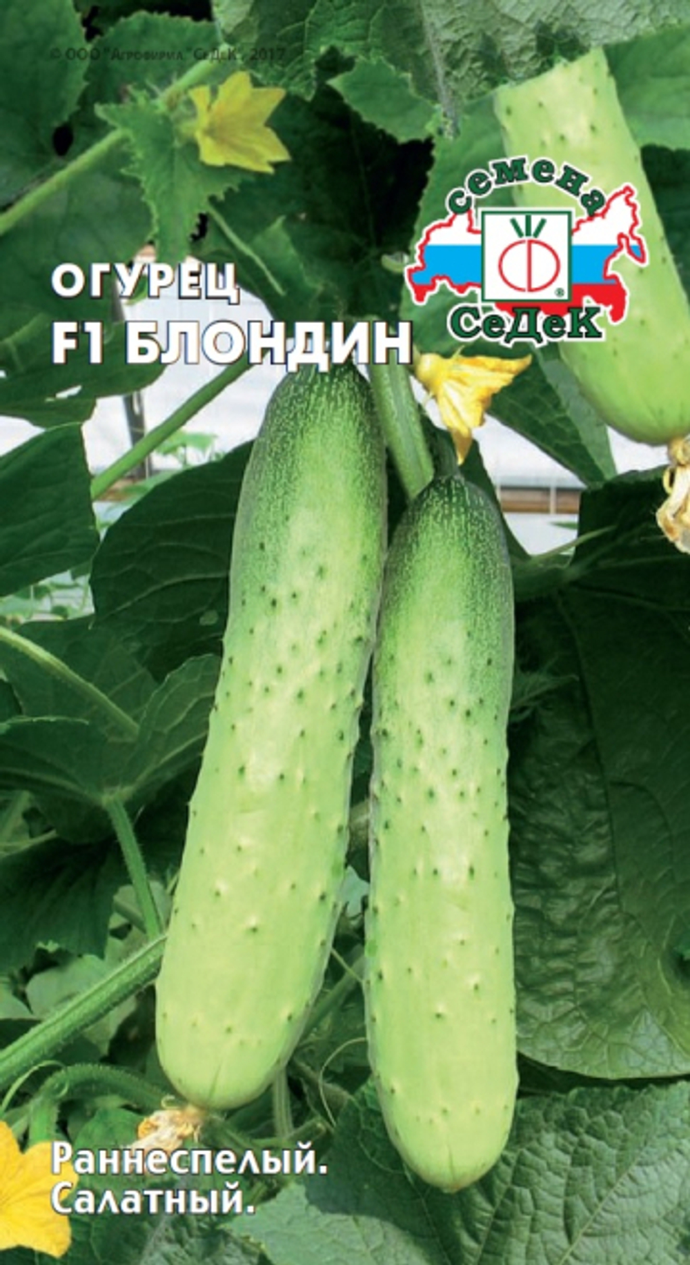 огурец Блондин F1