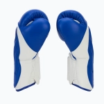 Боксёрские перчатки Twins Special Twins Special BGVL6 white/blue