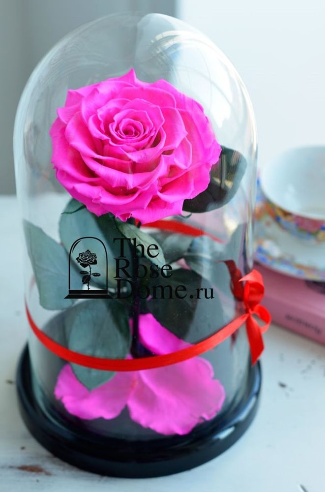 Роза в колбе 27см Premium бутон 11см ярко-розовая