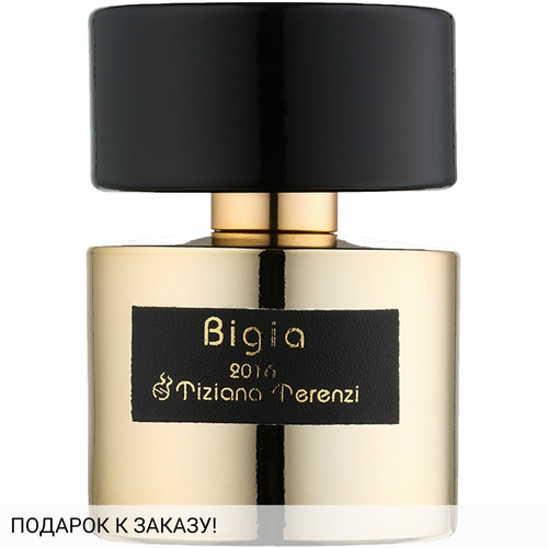 Tiziana Terenzi Bigia