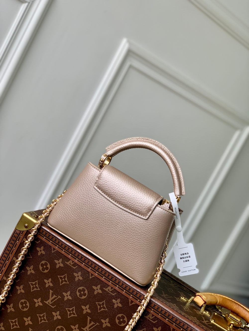 Louis Vuitton Capucines Mini