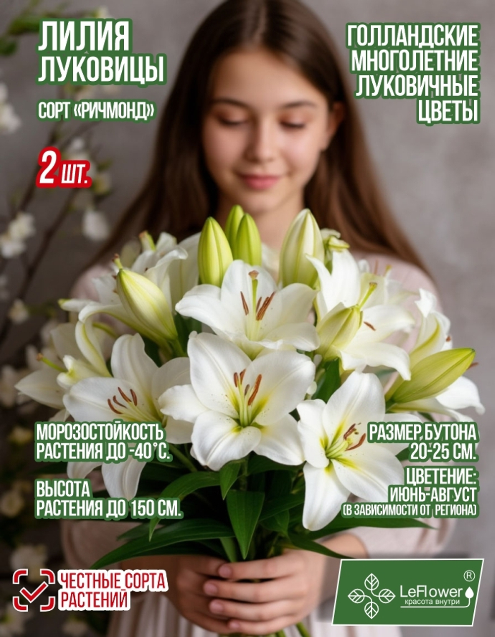 Лилия Луковица, Ричмонд, ЛА-гибрид, разбор 22/24, 2 шт
