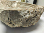 Раковина из окаменелого дерева Fossil Basin OD-60406 48*36*15