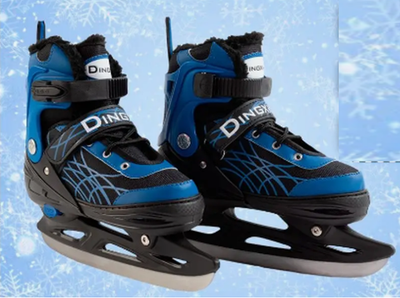 Коньки раздвижные (в сумке)