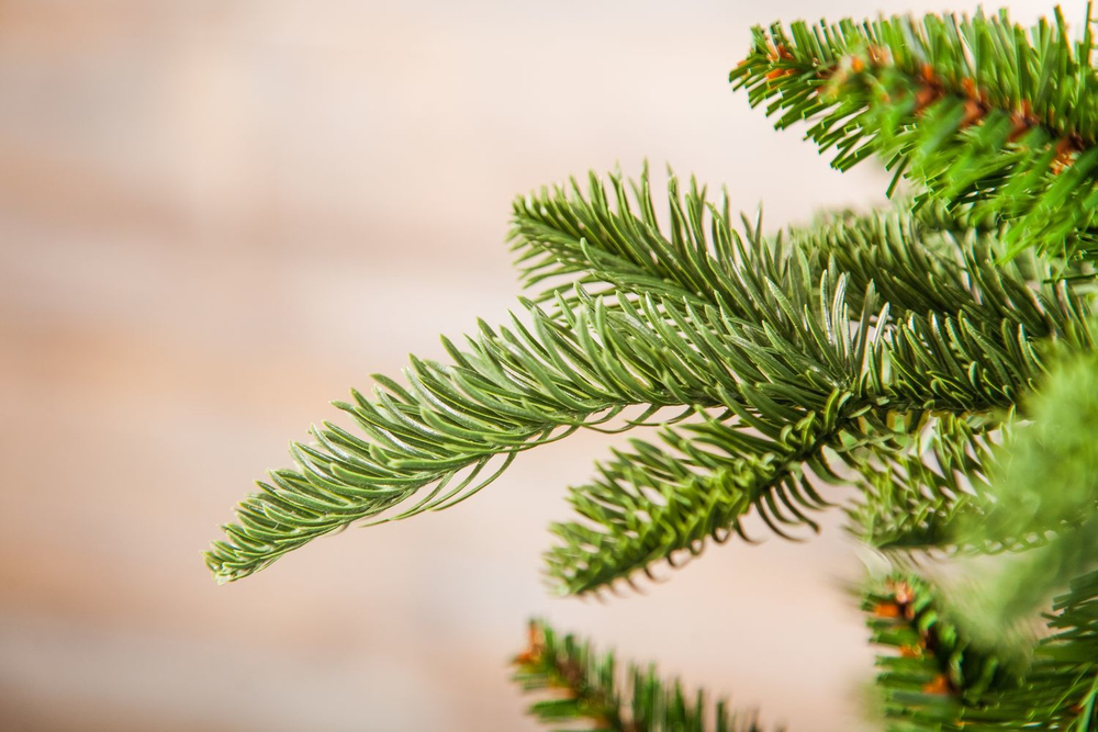 Ель Нормандия Стройная 260см темно-зеленая Triumph Tree