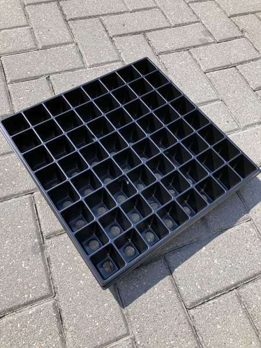 Кассета для рассады 64 ячейки