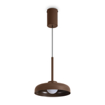 Подвесной светильник Freya FR5602PL-L5BR