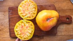 Мои лучшие семена томатов: сливки и бифы