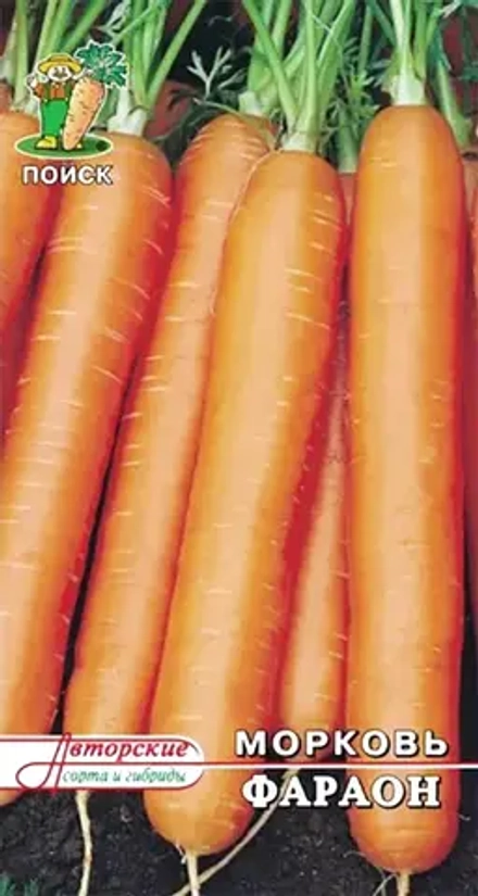 Семена Морковь Фараон