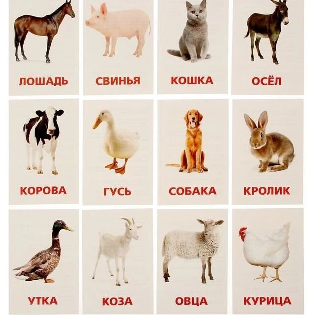 Обучающие карточки по методике Г. Домана "Домашние животные и птицы" 1716778