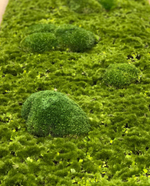 Панно из микса стабилизированного мха, искусственного мха и растений.