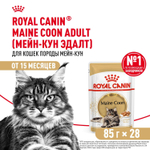 Royal Canin Maine Coon Adult Корм консервированный для взрослых кошек породы Мэйн Кун соус 85г