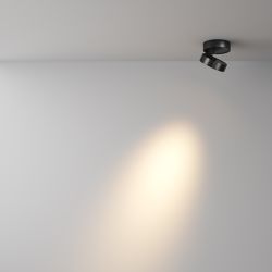 Потолочный светильник Maytoni Magic C022CL-L7B