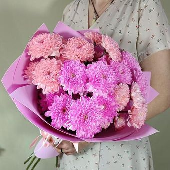 Розовые хризантемы