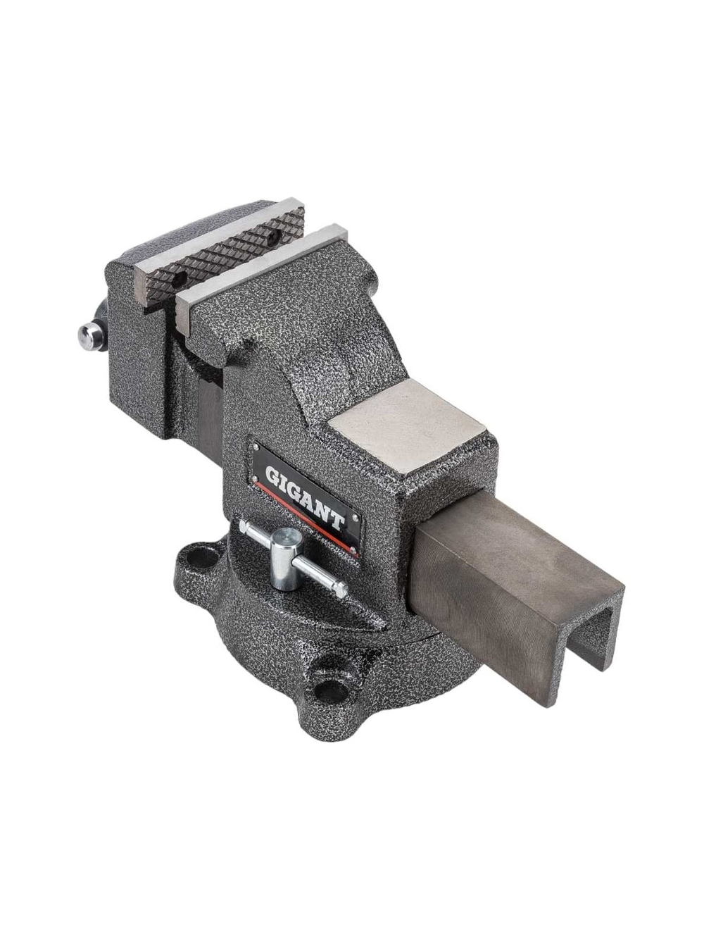 Поворотные слесарные тиски Gigant Professional 100 мм GP-BV-100