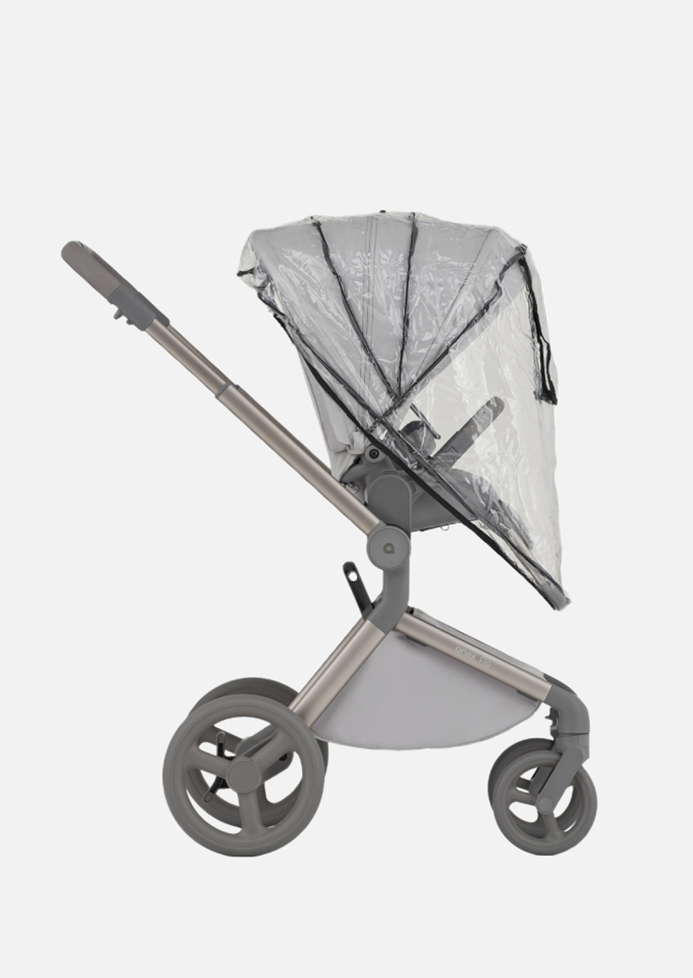 Anex Детская коляска Flo 2 в 1 Frossy