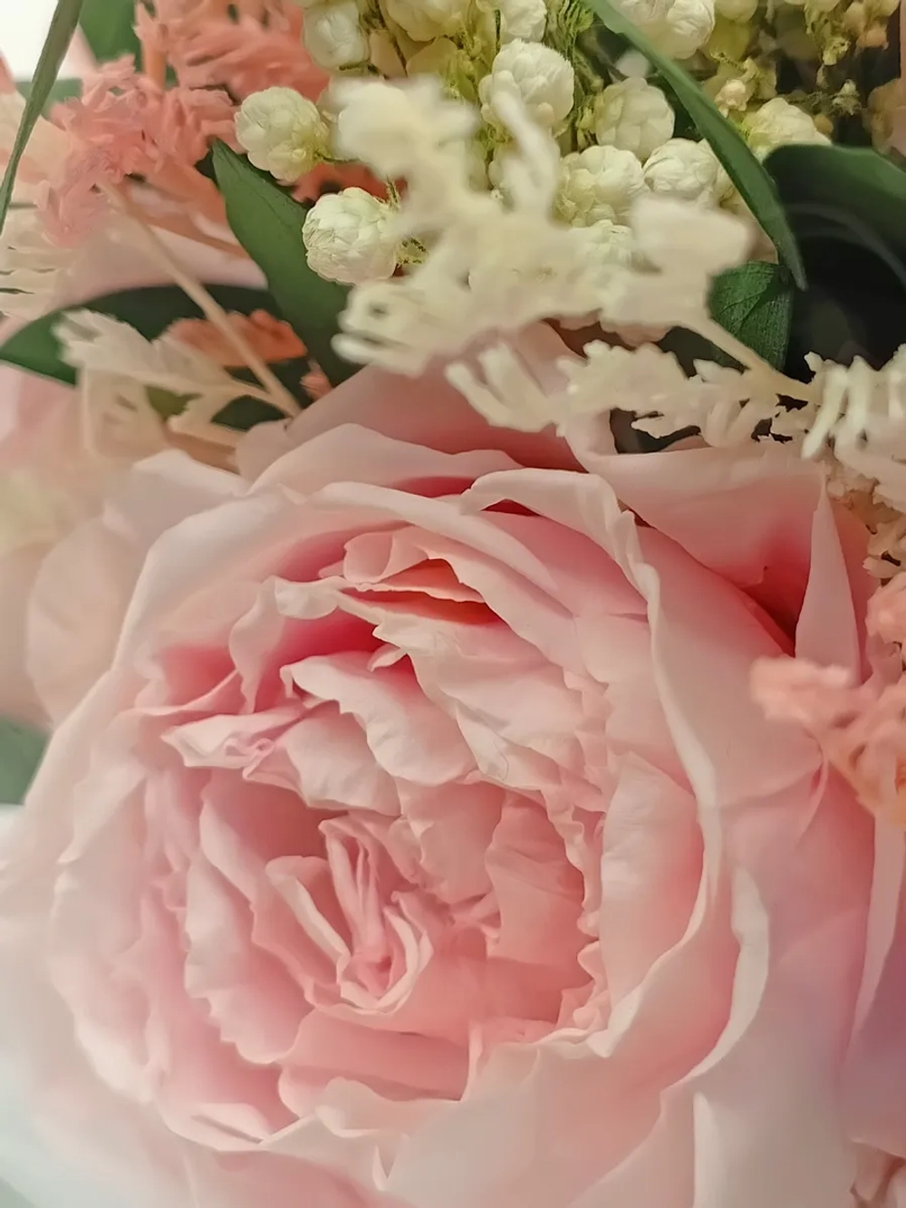 натуральные пионы в стекле, вакуум