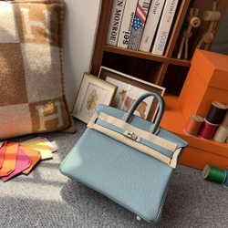 Hermes Birkin 25