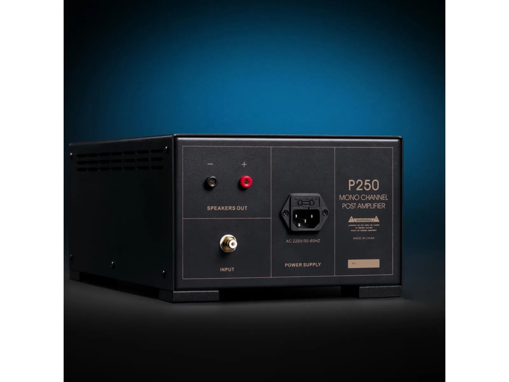 Усилитель для акустики Spotless Audio P250 Monoblock 2 шт