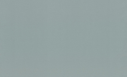 Rasch 1.06m*10m 983555 Novela Xl