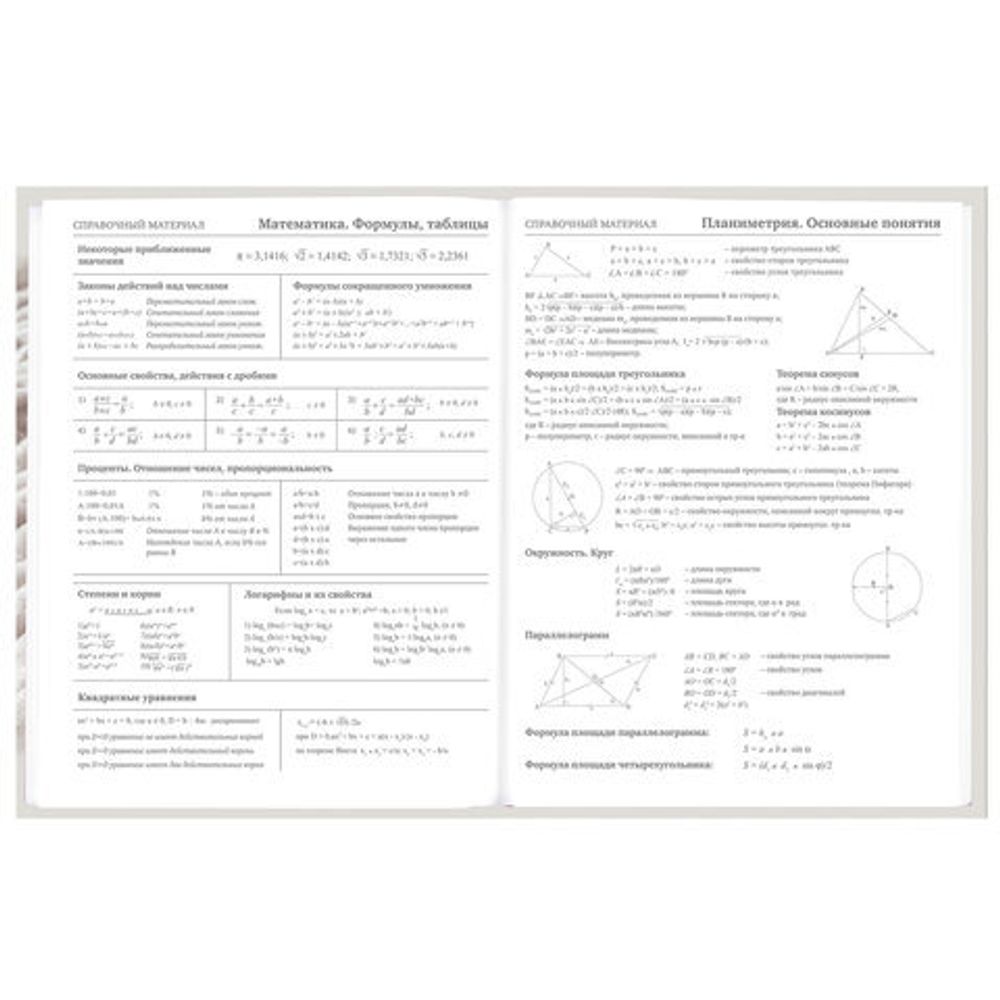 Дневник 5-11 класс 48 л., твердый, BRAUBERG, глянцевая ламинация, с подсказом, "Котик", 107188