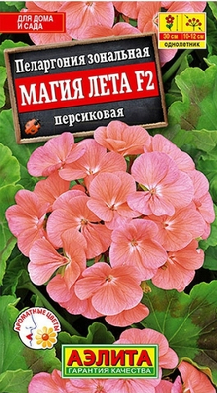Пеларгония Магия лета персиковая F2