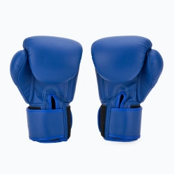 Боксёрские перчатки Twins Special BGVS3 blue