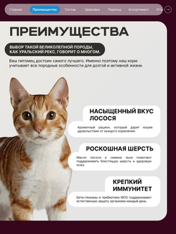 Корм сухой для взрослых кошек породы Уральский рекс, с лососем, 5 кг, QUATTRO