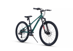 Maxiscoo "7BIKE" 24'' M300 (2024)