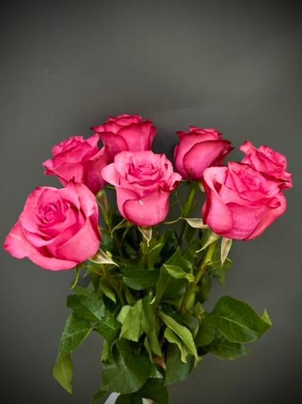 11 шт.сорта Лола