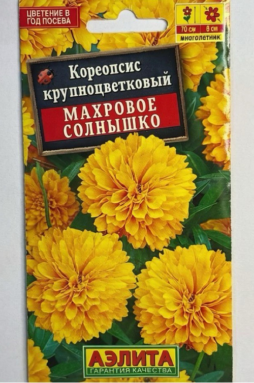 Кореопсис Махровое солнышко СМЦ-630
