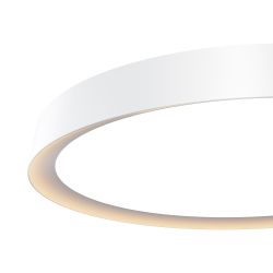 Светильник потолочный светодиодный Maytoni   MOD426CL-L43WK