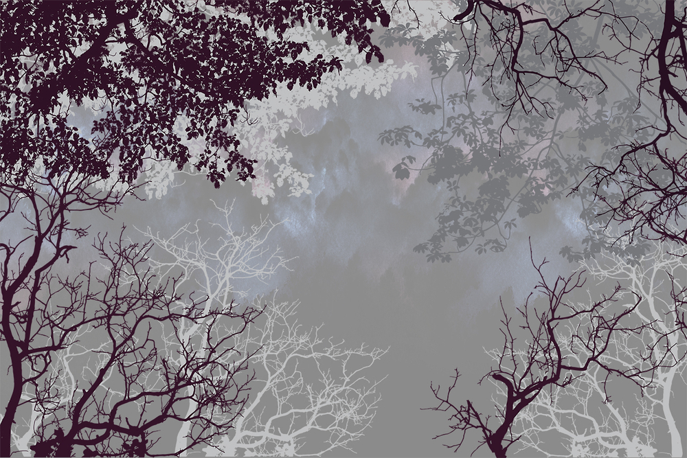 Коллекция VETVE