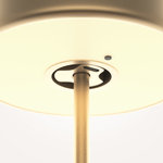 Аккумуляторный светильник Maytoni AI Collaboration MOD229TL-L3G3K2