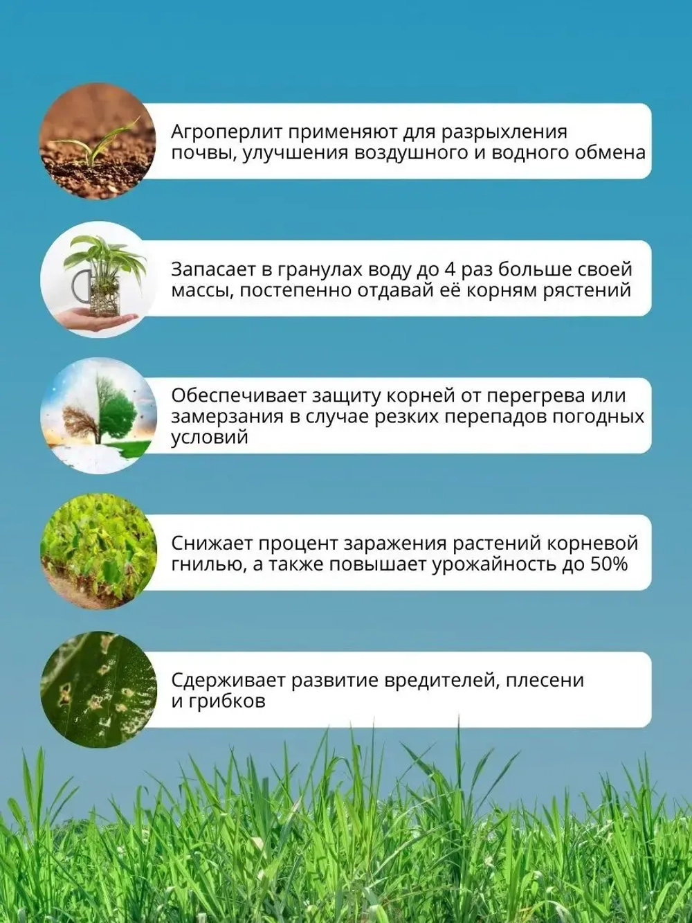 Агроперлит для цветов и растений