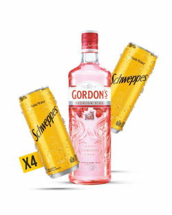 Gordon’s London Dry Pink 0.7 л. + 2 Schweppes Original 0.45