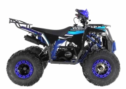 Квадроцикл Wels Thunder EVO