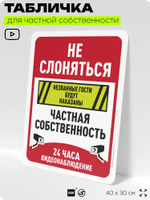 Табличка для частной территории "Не слоняться, частная собственность, видеонаблюдение 24 часа", на дом, для участка, предупреждающая, 40х30 см, Silver Plane x Айдентика Технолоджи