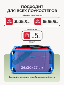 Чемодан M с кейсом в комплекте Красный