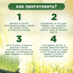 Травка, смесь семян злаковых трав, АВЗ для кошек, 30 г/пакет, 3 шт.