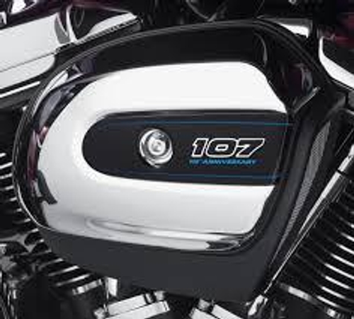 61300900 Декоративная вставка в корпус воздушного фильтра 115юб.