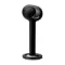 Devialet Tree Matte Black