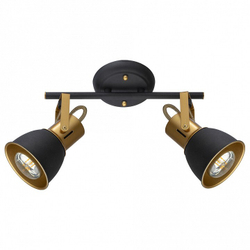 Спот Arte Lamp A1677PL-2GO