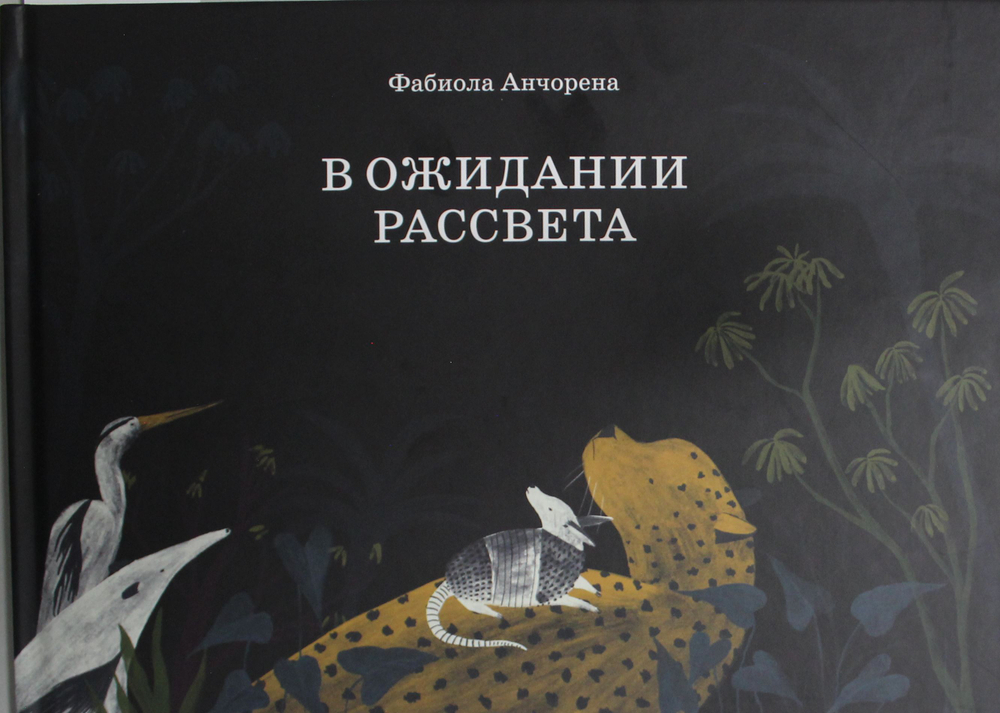 В ожидании рассвета