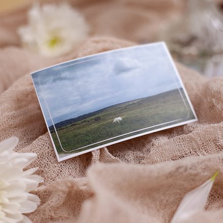 Наклейка на карту "В поле" 💳